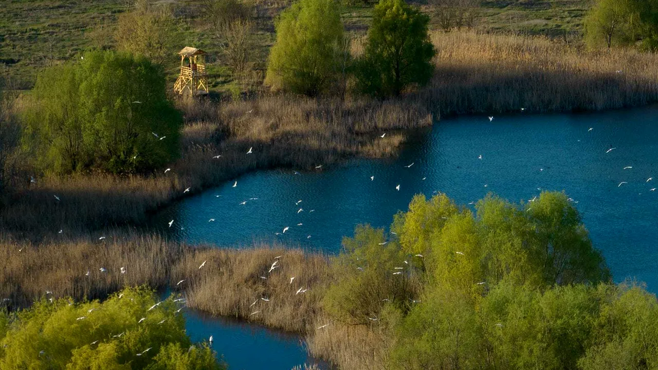 Începe Programul Vară Verde în Parcul Natural Văcăreşti/ Iată ce evenimente vor avea loc în lunile iulie şi august