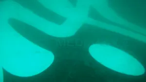 Coada avionului AirAsia prăbuşit în largul Indoneziei a fost găsită în Marea Java - VIDEO
