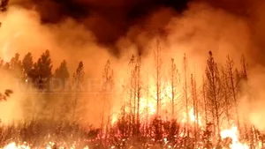 Stare de urgenţă în Los Angeles, din cauza incendiilor de vegetaţie
