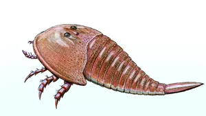 O specie de scorpion de mare gigant a fost descoperită în New Mexico