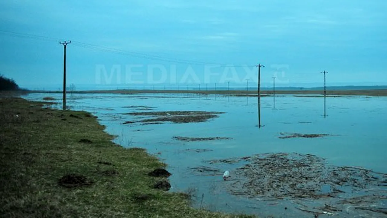 Faleza din Corabia şi aproximativ 300 hectare de teren, inundate în urma revărsării Dunării