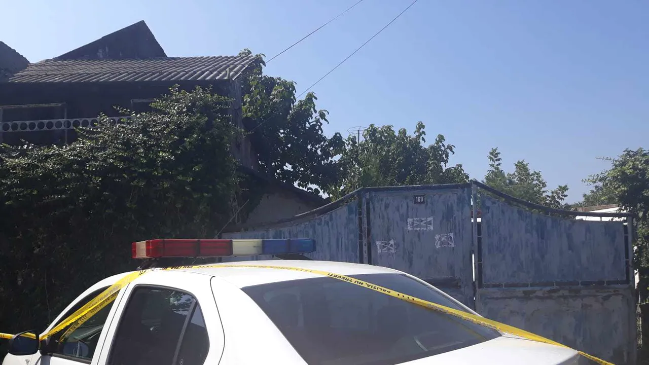 Dosar penal pentru omor, deschis de procurorii din Olt, în cazul Alexandrei: „Nu avem indicii la acest moment că ar fi două victime”