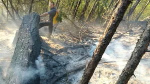 Misiunea de stingere a incendiului din Parcul Naţional Domogled, reluată | FOTO