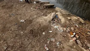Pești morți din cauza deșeurilor aruncate în apa Jiului
