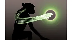 Speranţă pentru persoanele paralizate: maimuţele pot simţi obiectele prin puterea gândului