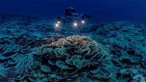 Inedit. Un recif de corali gigant şi „magic” a fost descoperit la 30 metri adâncime în largul insulei Tahiti VIDEO