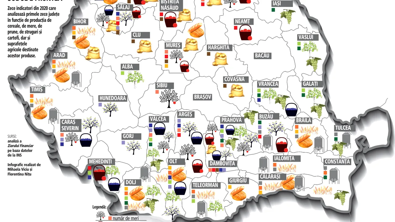 Cum arată harta agricolă a României? Iată la ce culturi stă cel mai bine fiecare regiune