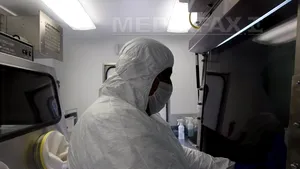 OMS face apel la vigilenţă în Europa, după confirmarea gripei aviare la o fermă din Marea Britanie