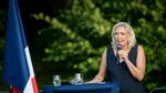 Ce au scris Marine Le Pen și Nigel Farage după ce Islanda a respins reluarea negocierilor de aderare la UE