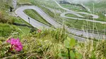 Urs împușcat pe Transfăgărășan după ce a atacat un turist elvețian