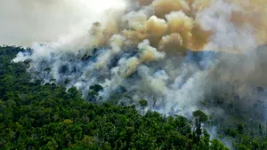 Incendiile din Pădurea Amazoniană s-au înteţit şi guvernul condus de Bolsonaro se face că plouă