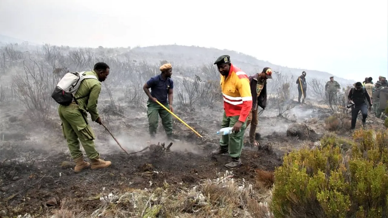 Incendiu uriaş în Kilimanjaro. Flăcările au afectat o populară rută a alpiniştilor