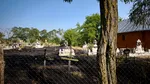 Cimitir cuprins de flăcări în Botoșani, după ce o lumânare a fost lăsată nesupravegheată. Crucile și coroanele au fost cuprinse de flăcări