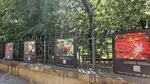 Ambasada Spaniei aduce la București FOTCIENCIA21. 15 fotografii care arată știința prin artă