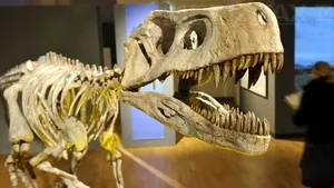 Dispariţia dinozaurilor ar fi putut fi cauzată de materia întunecată din Univers, care a trimis o 