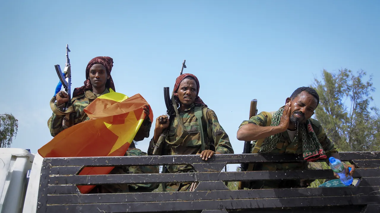 Războiul dintre Etiopia şi rebelii din Tigray ar fi ucis până la 600.000 de persoane