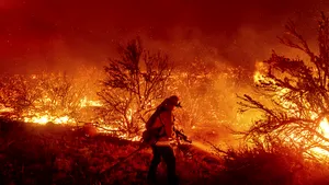 Pompierii din California învelesc cu staniol arborii seculari dintr-un parc naţional. Incendiile de vegetaţie ard de mai bine de o săptămână