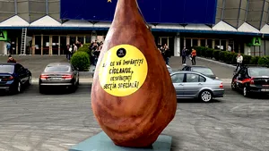 Protest cu ciolan la congresul PNL de la Romexpo. Manifestanţii cer desfiinţarea Secţiei Speciale