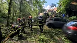 Pagube și copaci prăbușiți: 34 de localități din 17 județe și Capitala, afectate de furtunile de miercuri
