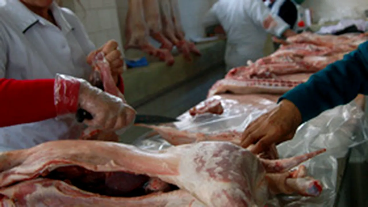 FOCUS: Carnea de miel, mai scumpă în acest an, din cauza creşterii preţurilor la furaje