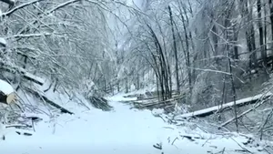 Romsilva anunță intervenții în Caraș-Severin pentru deblocarea drumurilor afectate de ninsori