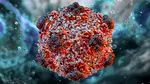 Care este perioada de incubație a hantavirusului. OMS: „Acesta nu este coronavirusul. Este un virus foarte diferit”