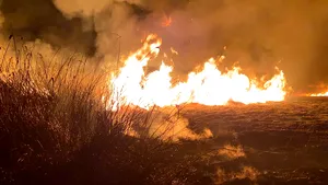 Incendiu puternic în Cluj-Napoca: Fumul gros era vizibil din celălalt capăt al oraşului