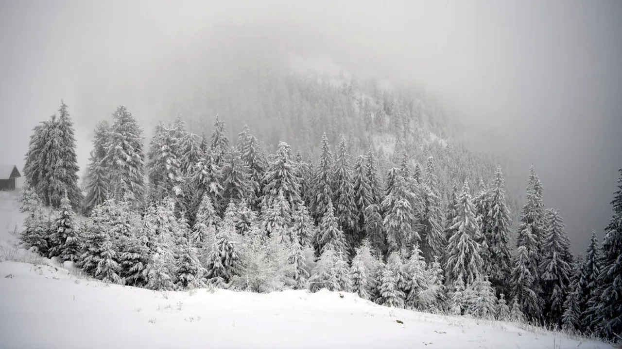 Avertizare meteo: Cod roșu de vânt puternic în zona montană a județului Alba