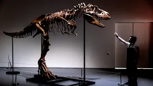Un schelet de dinozaur vechi de 76 de milioane de ani, scos la licitaţie în New York. La ce sumă este estimat