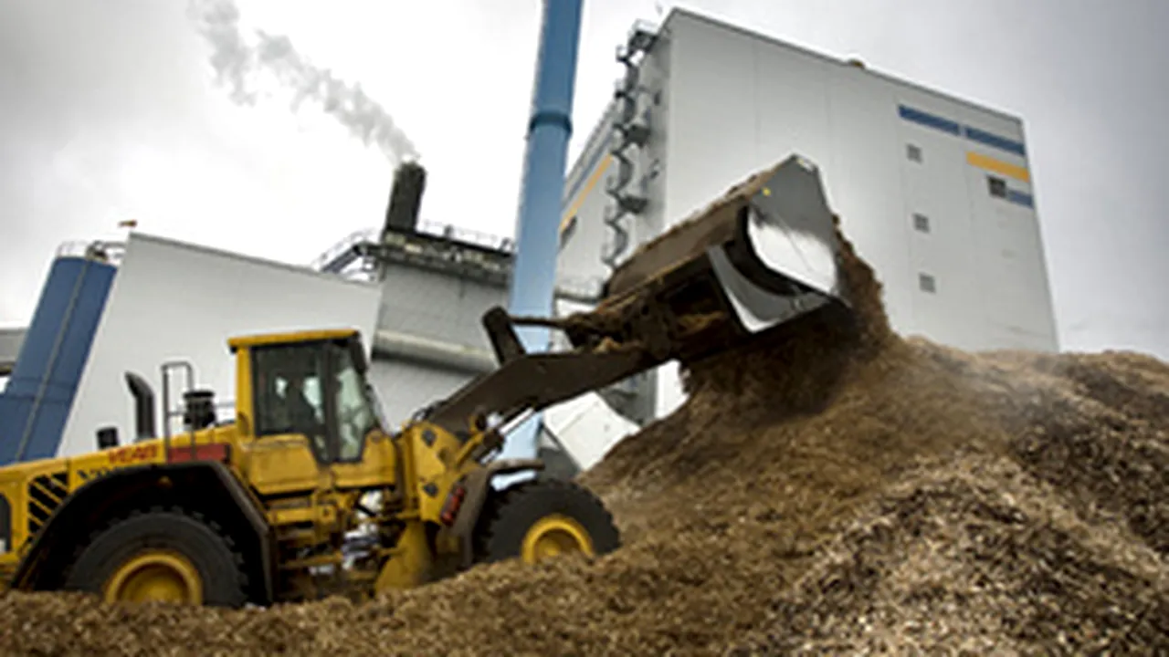 Romania’s Green House Progr Might Include Biomass As Alternative Energy Source