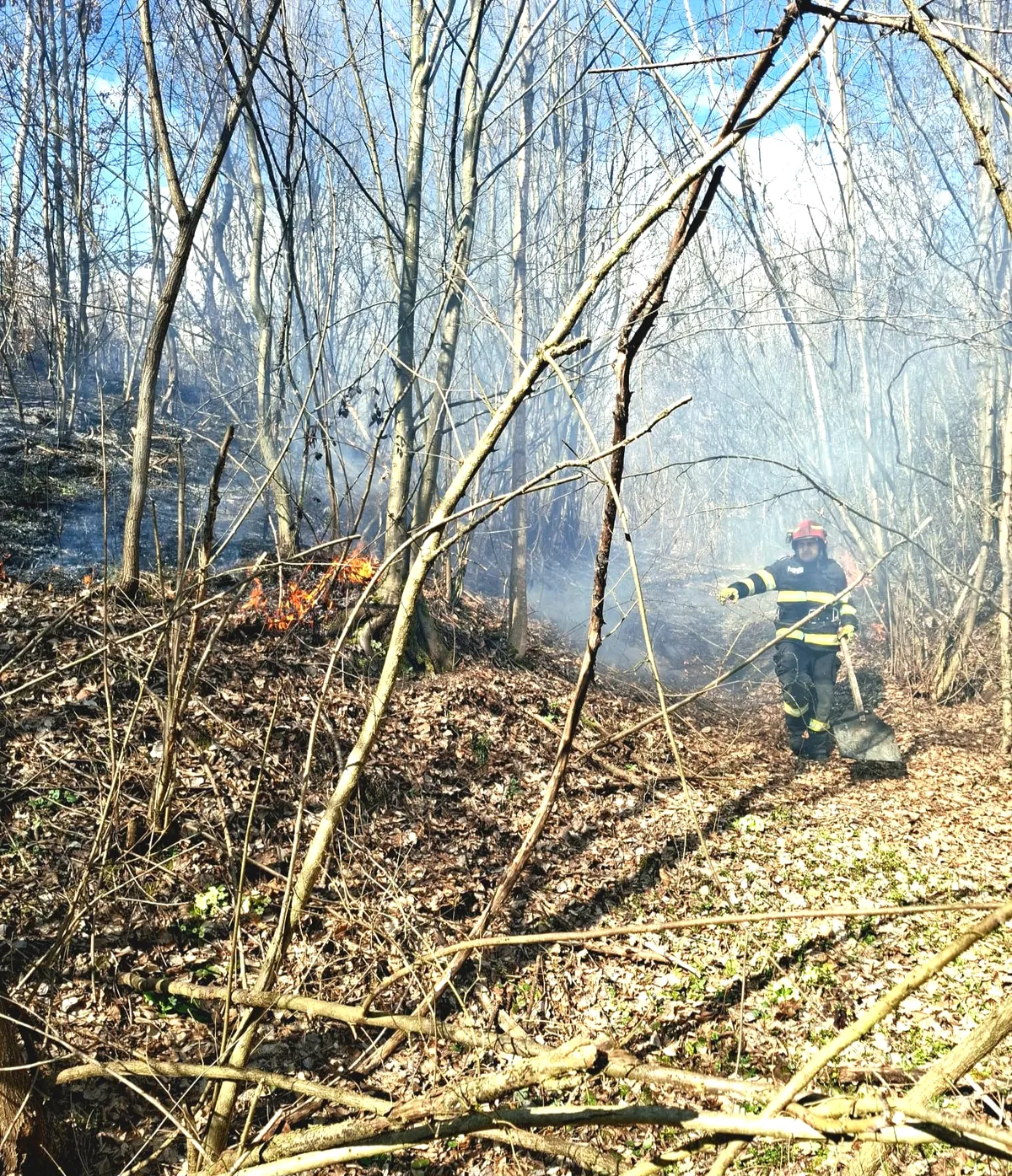 Incendiu vegetație Timiș