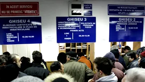 Taxe mai mari pentru permise şi înmatriculări