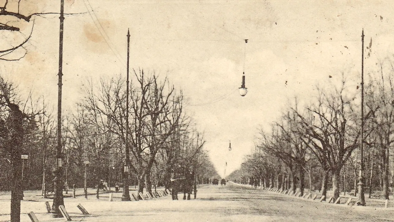 VINTAGE by ZD: Naşterea, creşterea şi destinul şoselei Kiseleff - FOTO 