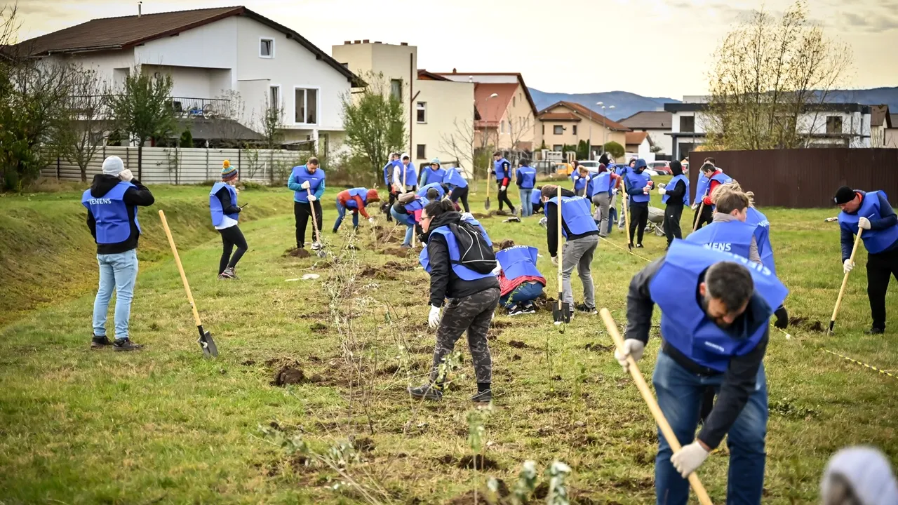 Pădure urbană, după conceptul japonez miyawaki, într-un cartier din Sibiu