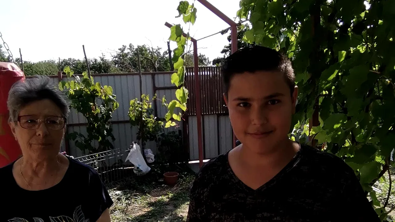 Lupta pentru educaţie: Cum un tată singur şi bunica fac posibil visul lui Ştefan