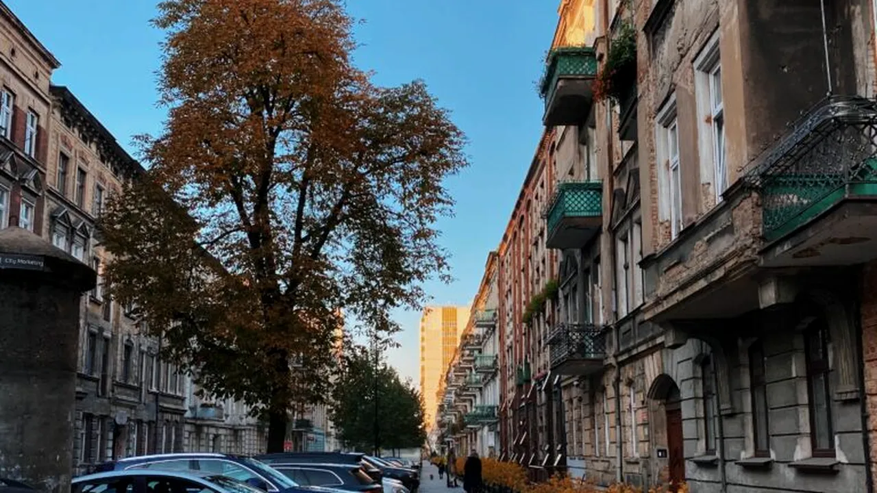 1,3 milioane de euro de plată! Trucul cu numere poloneze care a ajuns și în România