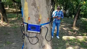Primăria Capitalei a achiziţionat două TOMOGRAFE pentru arbori. Cât costă dispozitivele şi la ce sunt necesare