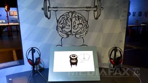 O expoziţie interactivă permanentă dedicată creierului uman, deschisă la Paris
