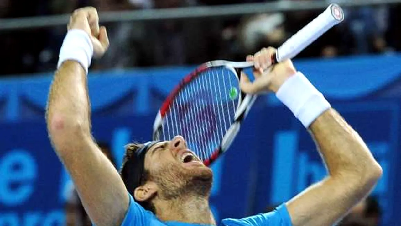 Juan Martin Del Potro a câştigat turneul de la Marsilia