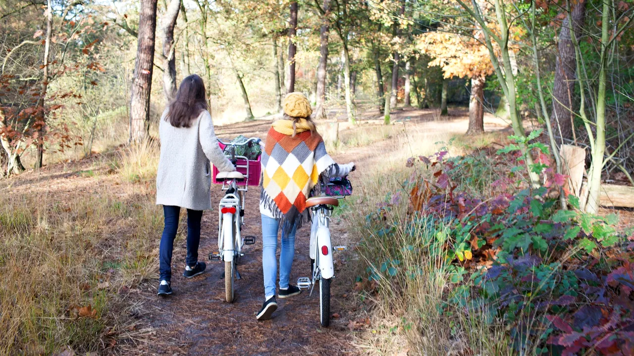 Primăria Sibiu va amenaja 44 de centre publice pentru închirieri de biciclete