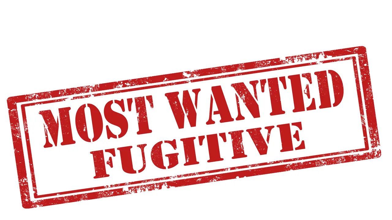 „Most Wanted”. Unul din cei mai căutaţi români din lume, prins în Irlanda. Ce infracţiuni a comis