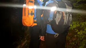 Doi turişti care s-au întâlnit cu un urs pe un traseu din Bucegi au stat o oră căţăraţi într-un brad | FOTO, VIDEO