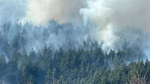 Incendiu de vegetație într-o zonă greu accesibilă din Munții Rodnei