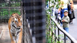 Noi animale pot fi vizitate la Grădina Zoologică din Târgu Mureş