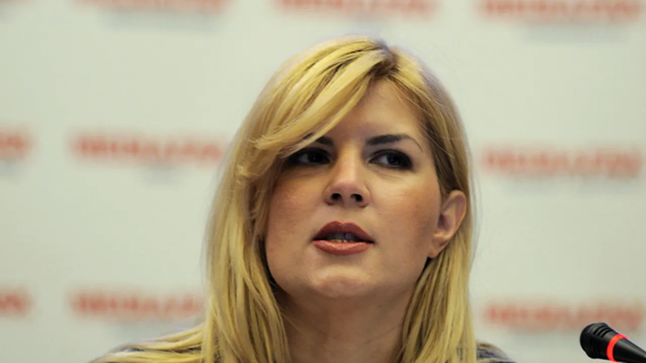 Udrea ar dori ca plajele să treacă în administrarea Consiliului Judeţean