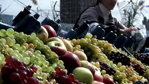 Bucureştenii vor cumpăra produse agro-alimentare din şase pieţe volante