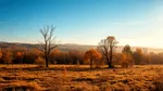 Vremea în următoarele patru săptămâni. ANM arată cum se schimbă temperaturile în octombrie