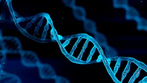 Descoperire uimitoare. Tulburarea obsesiv-compulsivă, Tourette și autismul ar avea rădăcini genetice comune