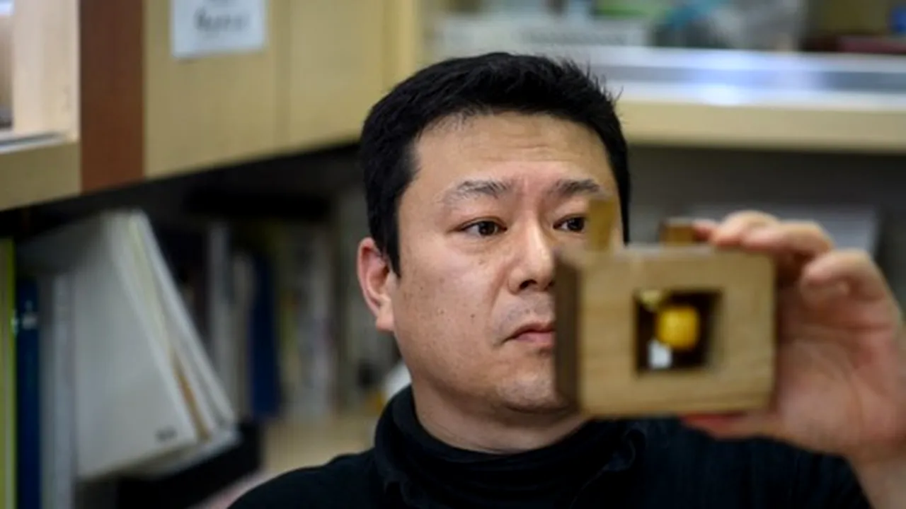Poşta Japoneză va scoate la vânzare timbre comemorative Tokyo 2020. Ce preţuri vor avea timbrele de colecţie