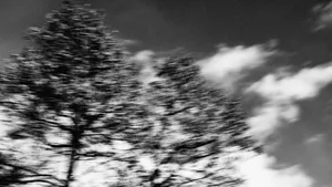 PROGNOZĂ SPECIALĂ pentru Capitală: Vreme frumoasă, cu temperaturi de 29 grade Celsius, dar şi VIJELII